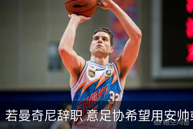 若曼奇尼辞职 意足协希望用安帅或卡纳瓦罗替代